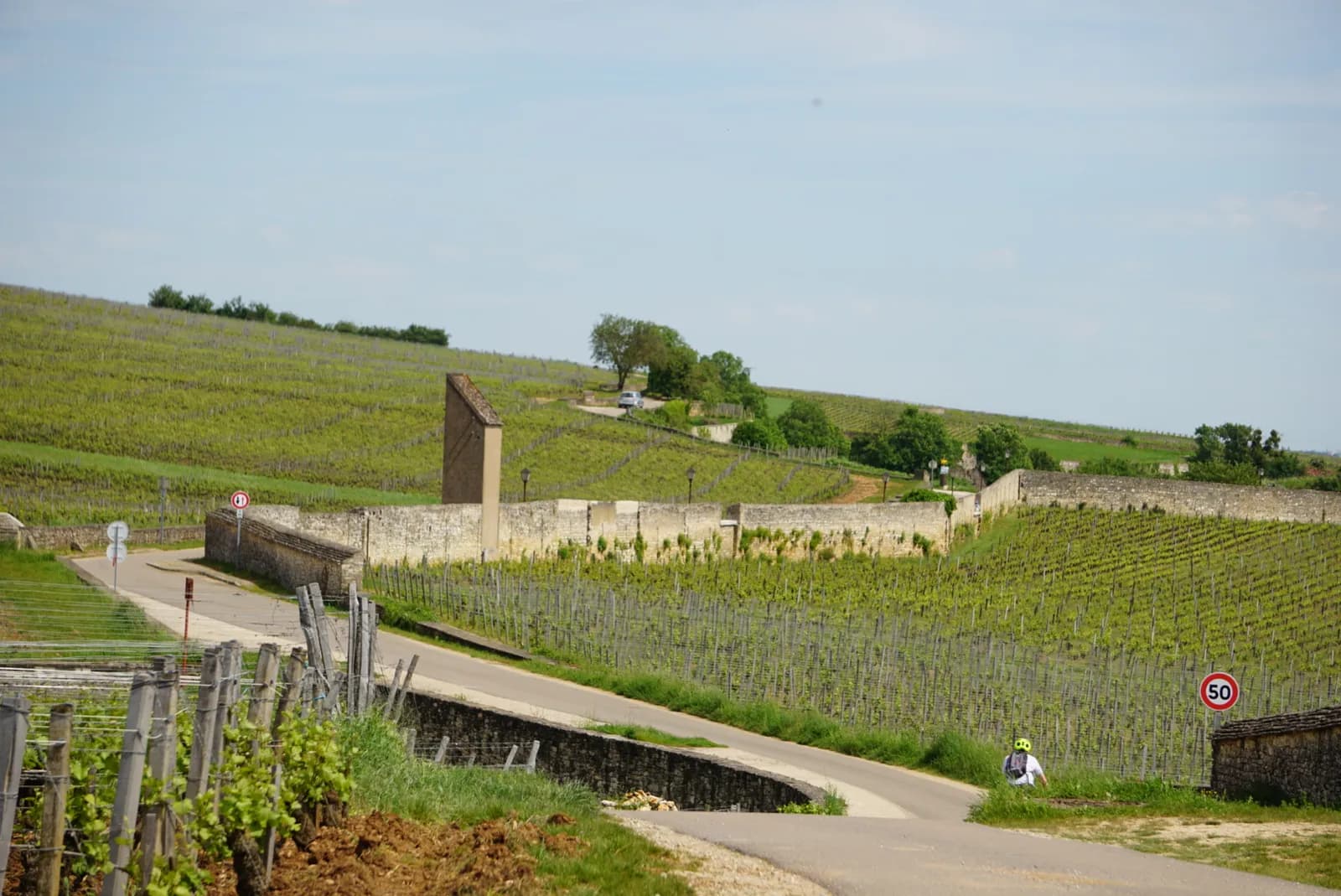 Balade gourmande "des Bonnes-mares aux Musigny"