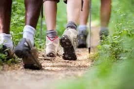 Marches gourmandes en Lorraine - calendrier 2026