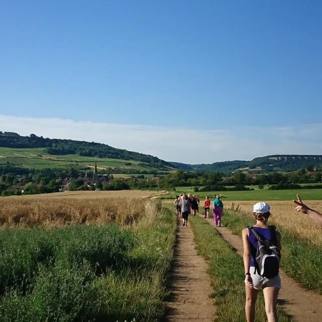 Marche Gourmande des Vignerons du Flagot
