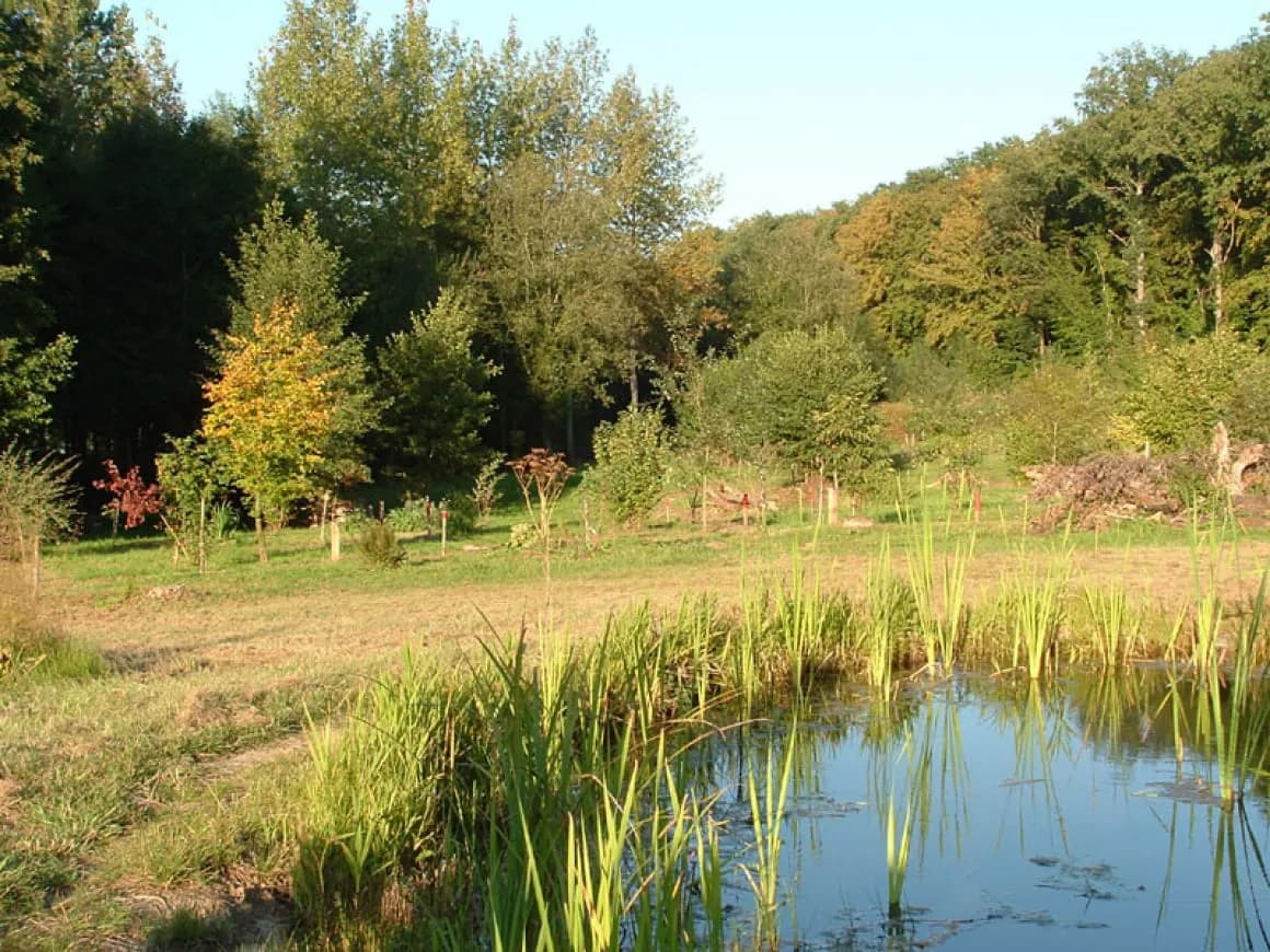 Marche Gourmande de Roderen