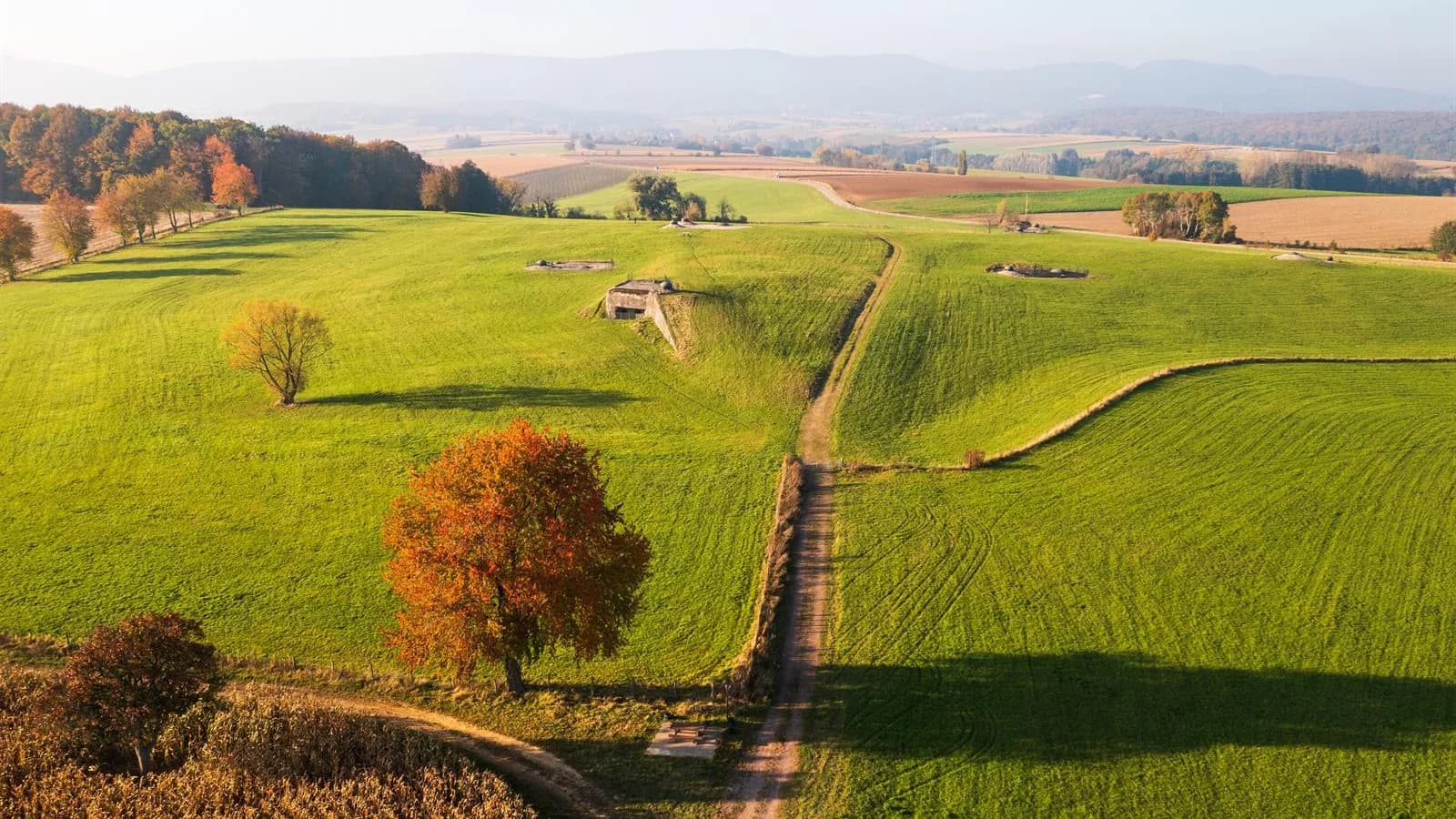 Marche Gourmande de Schoenenbourg-Memmelshoffen