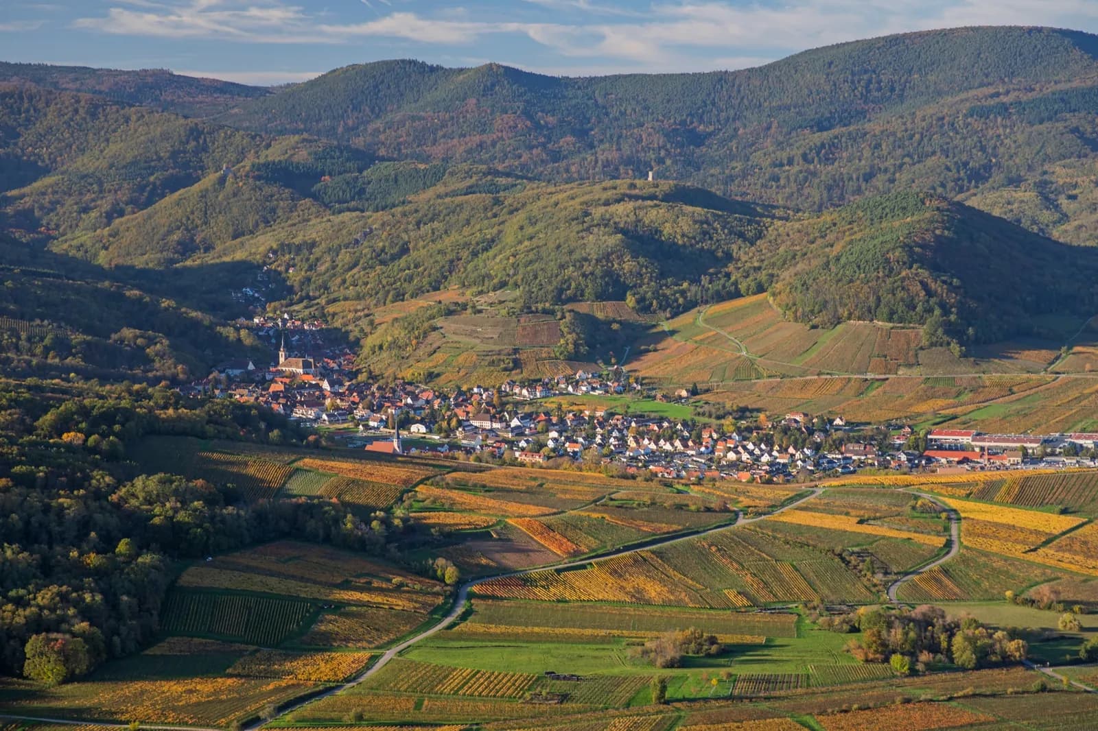 Marche Nocturne Gourmande Sur les traces de la Grande Ourse